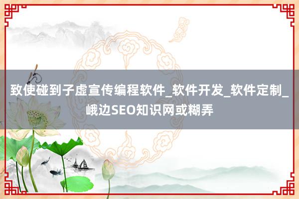 致使碰到子虚宣传编程软件_软件开发_软件定制_峨边SEO知识网或糊弄