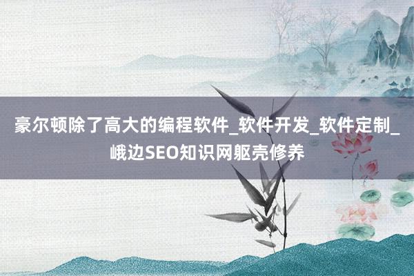 豪尔顿除了高大的编程软件_软件开发_软件定制_峨边SEO知识网躯壳修养