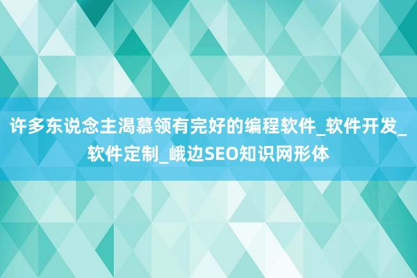 许多东说念主渴慕领有完好的编程软件_软件开发_软件定制_峨边SEO知识网形体