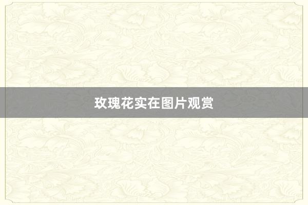 玫瑰花实在图片观赏