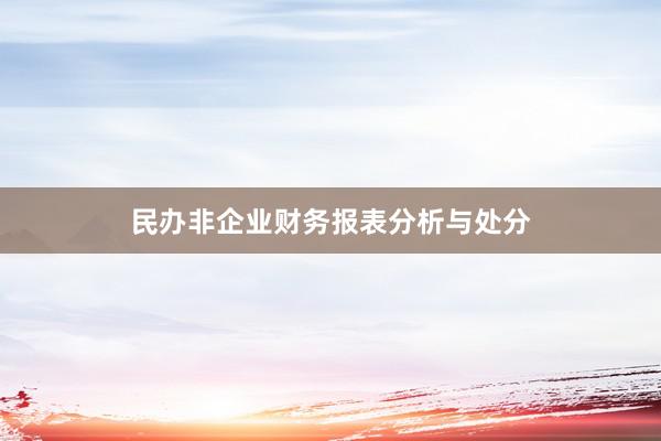 民办非企业财务报表分析与处分